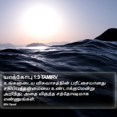 யாக்கோபு 1:3 TAMIRV Bible Verse Image