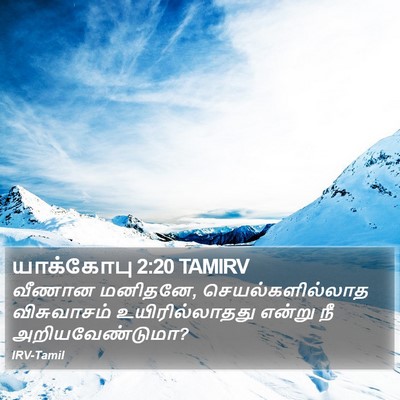 யாக்கோபு 2:20 TAMIRV Bible Verse Image