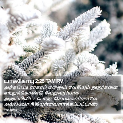 யாக்கோபு 2:25 TAMIRV Bible Verse Image