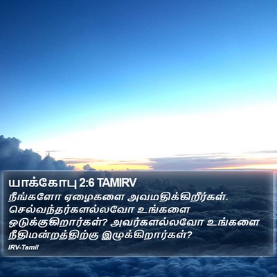 யாக்கோபு 2:6 TAMIRV Bible Verse Image