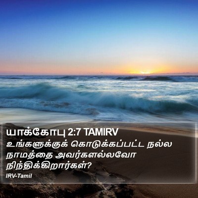 யாக்கோபு 2:7 TAMIRV Bible Verse Image