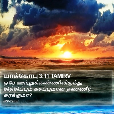 யாக்கோபு 3:11 TAMIRV Bible Verse Image
