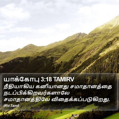 யாக்கோபு 3:18 TAMIRV Bible Verse Image