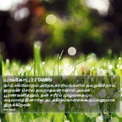 யாக்கோபு 3:2 TAMIRV Bible Verse Image