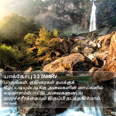 யாக்கோபு 3:3 TAMIRV Bible Verse Image
