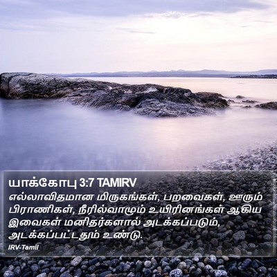 யாக்கோபு 3:7 TAMIRV Bible Verse Image