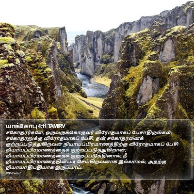 யாக்கோபு 4:11 TAMIRV Bible Verse Image