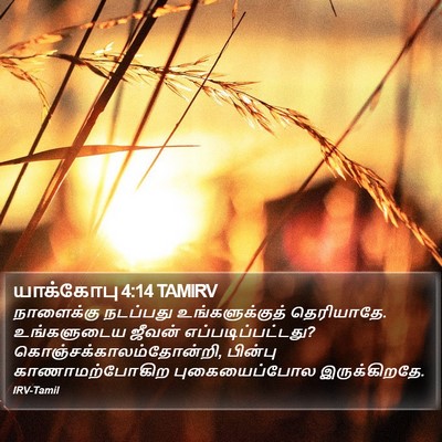 யாக்கோபு 4:14 TAMIRV Bible Verse Image