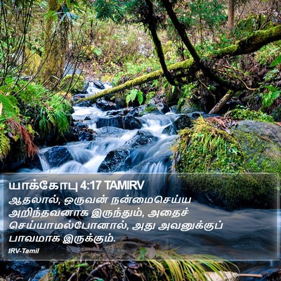 யாக்கோபு 4:17 TAMIRV Bible Verse Image