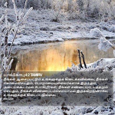 யாக்கோபு 4:2 TAMIRV Bible Verse Image