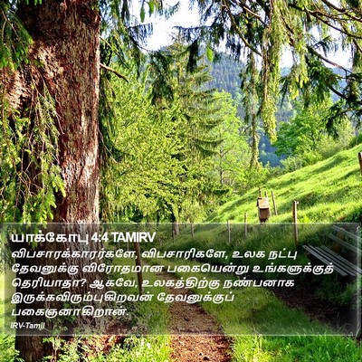 யாக்கோபு 4:4 TAMIRV Bible Verse Image