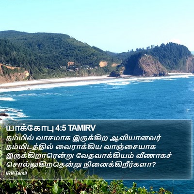 யாக்கோபு 4:5 TAMIRV Bible Verse Image
