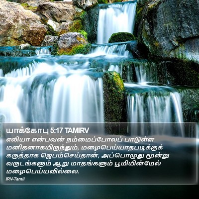 யாக்கோபு 5:17 TAMIRV Bible Verse Image