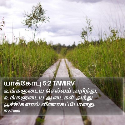 யாக்கோபு 5:2 TAMIRV Bible Verse Image