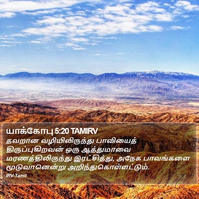 யாக்கோபு 5:20 TAMIRV Bible Verse Image