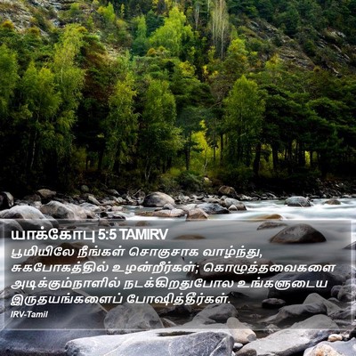 யாக்கோபு 5:5 TAMIRV Bible Verse Image