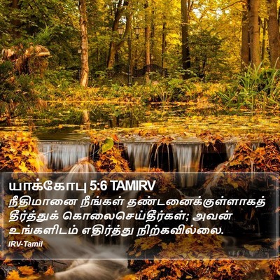 யாக்கோபு 5:6 TAMIRV Bible Verse Image