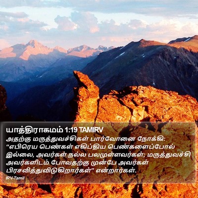 யாத்திராகமம் 1:19 TAMIRV Bible Verse Image