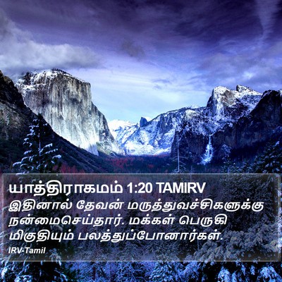 யாத்திராகமம் 1:20 TAMIRV Bible Verse Image