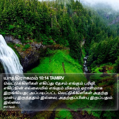 யாத்திராகமம் 10:14 TAMIRV Bible Verse Image