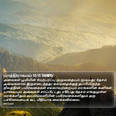 யாத்திராகமம் 10:15 TAMIRV Bible Verse Image