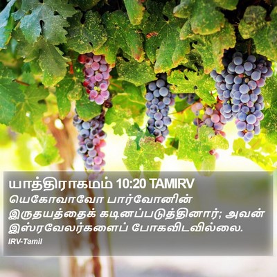 யாத்திராகமம் 10:20 TAMIRV Bible Verse Image