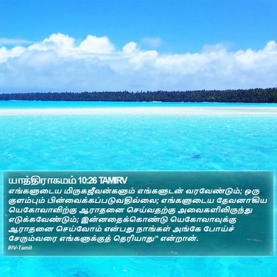 யாத்திராகமம் 10:26 TAMIRV Bible Verse Image
