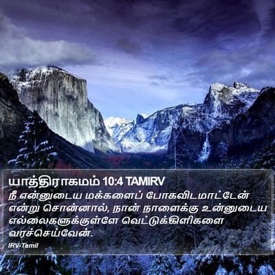 யாத்திராகமம் 10:4 TAMIRV Bible Verse Image