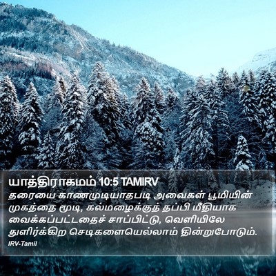 யாத்திராகமம் 10:5 TAMIRV Bible Verse Image