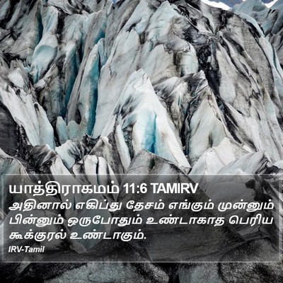 யாத்திராகமம் 11:6 TAMIRV Bible Verse Image