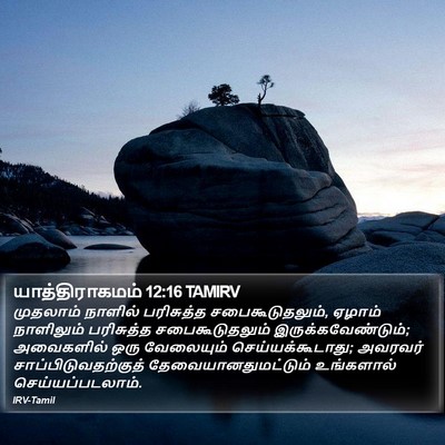 யாத்திராகமம் 12:16 TAMIRV Bible Verse Image