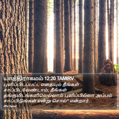 யாத்திராகமம் 12:20 TAMIRV Bible Verse Image