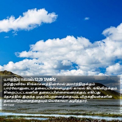 யாத்திராகமம் 12:29 TAMIRV Bible Verse Image
