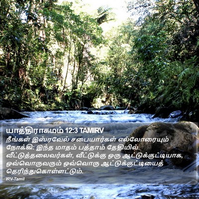 யாத்திராகமம் 12:3 TAMIRV Bible Verse Image