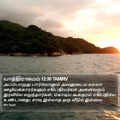 யாத்திராகமம் 12:30 TAMIRV Bible Verse Image