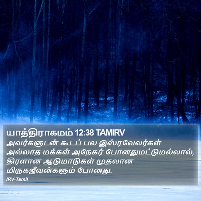 யாத்திராகமம் 12:38 TAMIRV Bible Verse Image