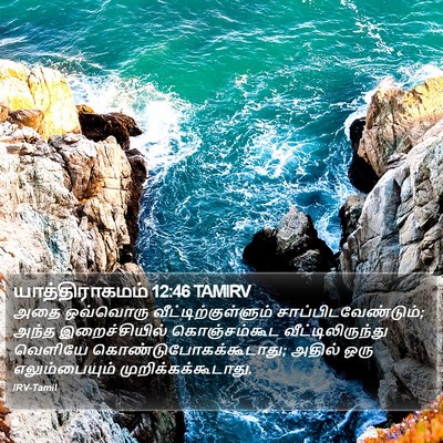 யாத்திராகமம் 12:46 TAMIRV Bible Verse Image