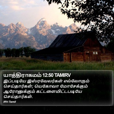 யாத்திராகமம் 12:50 TAMIRV Bible Verse Image