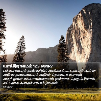 யாத்திராகமம் 12:9 TAMIRV Bible Verse Image