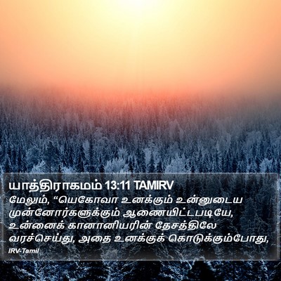 யாத்திராகமம் 13:11 TAMIRV Bible Verse Image