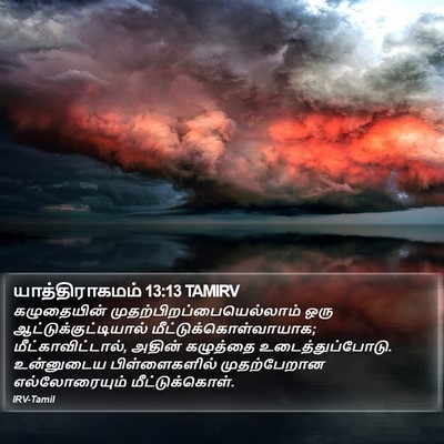யாத்திராகமம் 13:13 TAMIRV Bible Verse Image