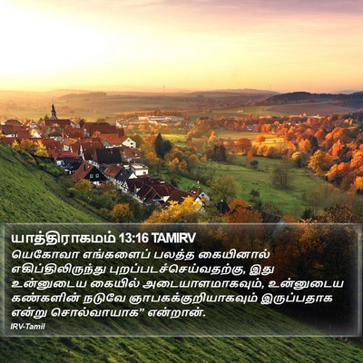 யாத்திராகமம் 13:16 TAMIRV Bible Verse Image