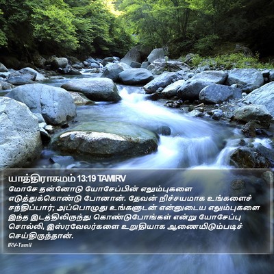 யாத்திராகமம் 13:19 TAMIRV Bible Verse Image