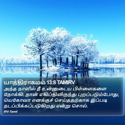 யாத்திராகமம் 13:8 TAMIRV Bible Verse Image