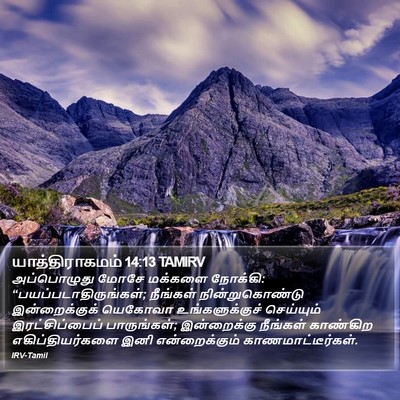 யாத்திராகமம் 14:13 TAMIRV Bible Verse Image