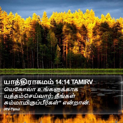 யாத்திராகமம் 14:14 TAMIRV Bible Verse Image