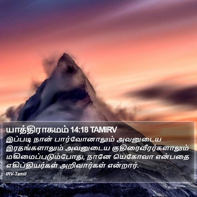 யாத்திராகமம் 14:18 TAMIRV Bible Verse Image