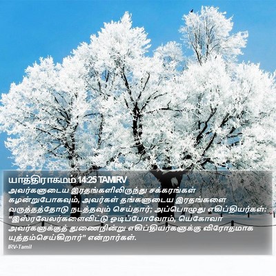 யாத்திராகமம் 14:25 TAMIRV Bible Verse Image