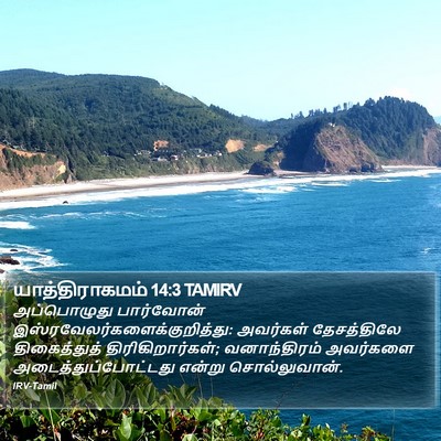 யாத்திராகமம் 14:3 TAMIRV Bible Verse Image