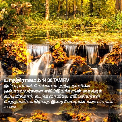யாத்திராகமம் 14:30 TAMIRV Bible Verse Image